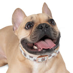 Floral Dog Collar, Chic Pet Accessory for Dog Lovers, Adjustable Dog Collar, Spring Summer Dog Fashion, Cute Dog Gift