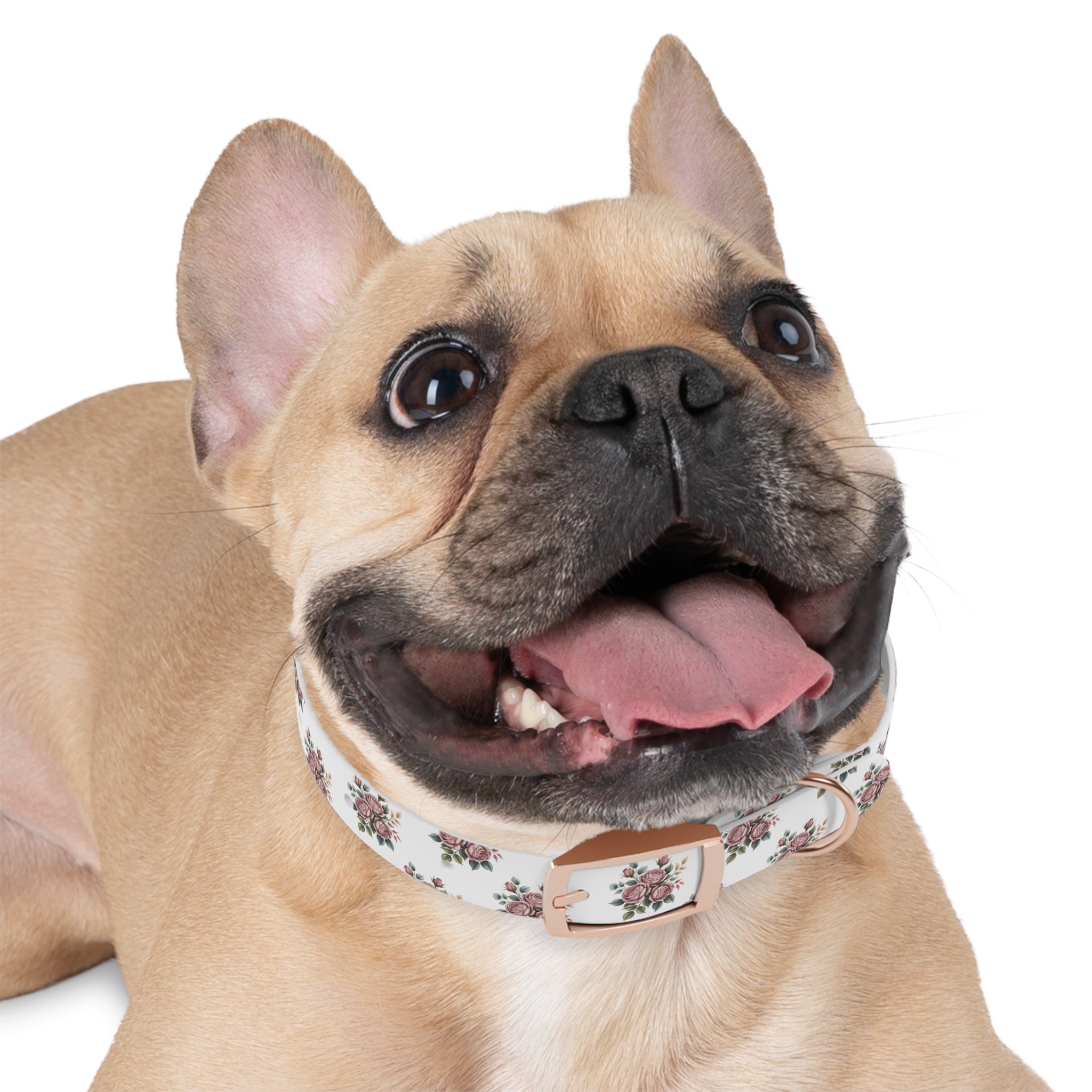 Floral Dog Collar, Chic Pet Accessory for Dog Lovers, Adjustable Dog Collar, Spring Summer Dog Fashion, Cute Dog Gift