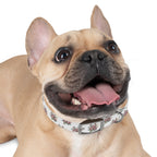 Floral Dog Collar, Chic Pet Accessory for Dog Lovers, Adjustable Dog Collar, Spring Summer Dog Fashion, Cute Dog Gift