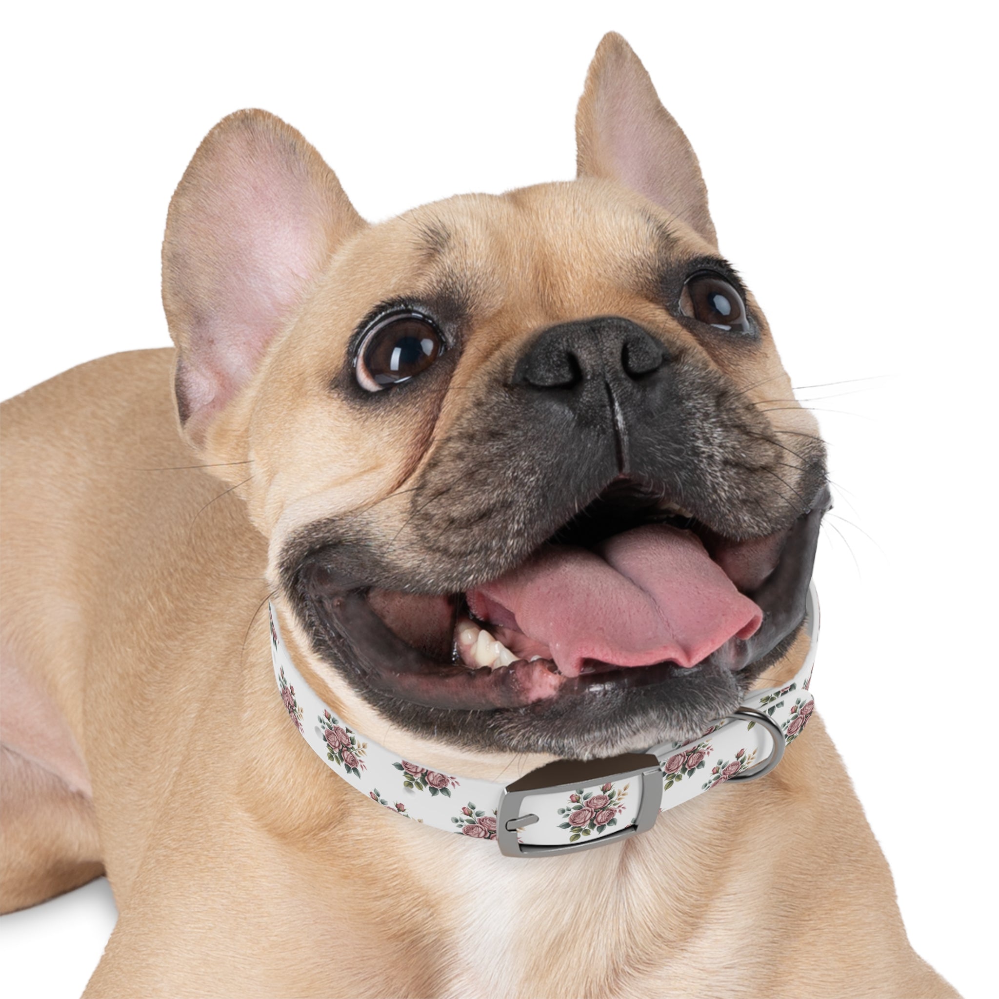 Floral Dog Collar, Chic Pet Accessory for Dog Lovers, Adjustable Dog Collar, Spring Summer Dog Fashion, Cute Dog Gift