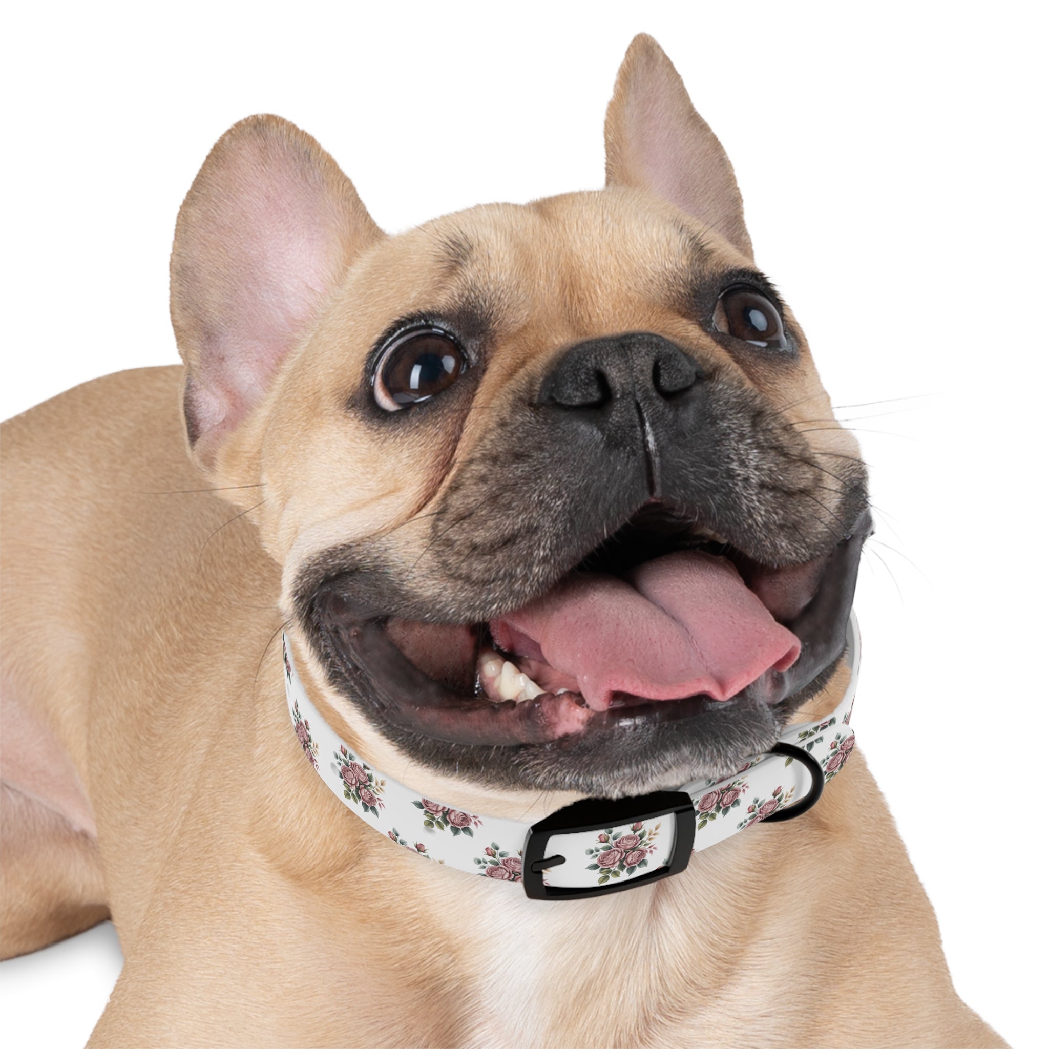 Floral Dog Collar, Chic Pet Accessory for Dog Lovers, Adjustable Dog Collar, Spring Summer Dog Fashion, Cute Dog Gift